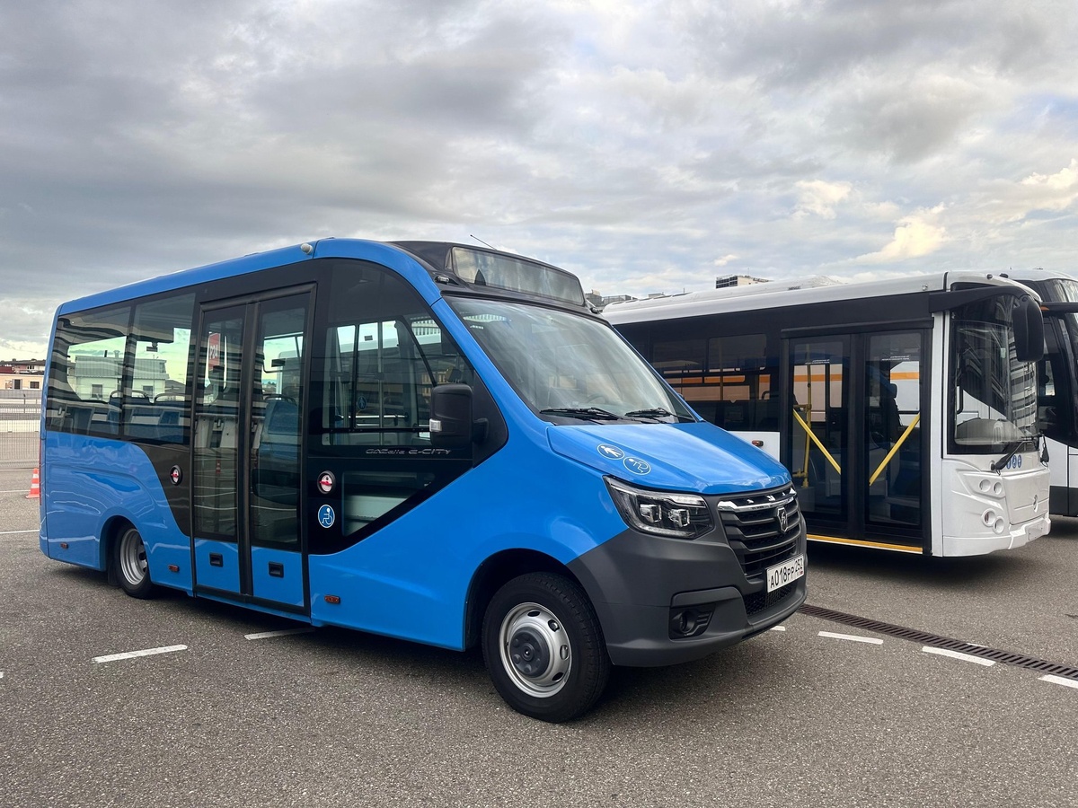    Фото: пресс-служба администрации Сочи