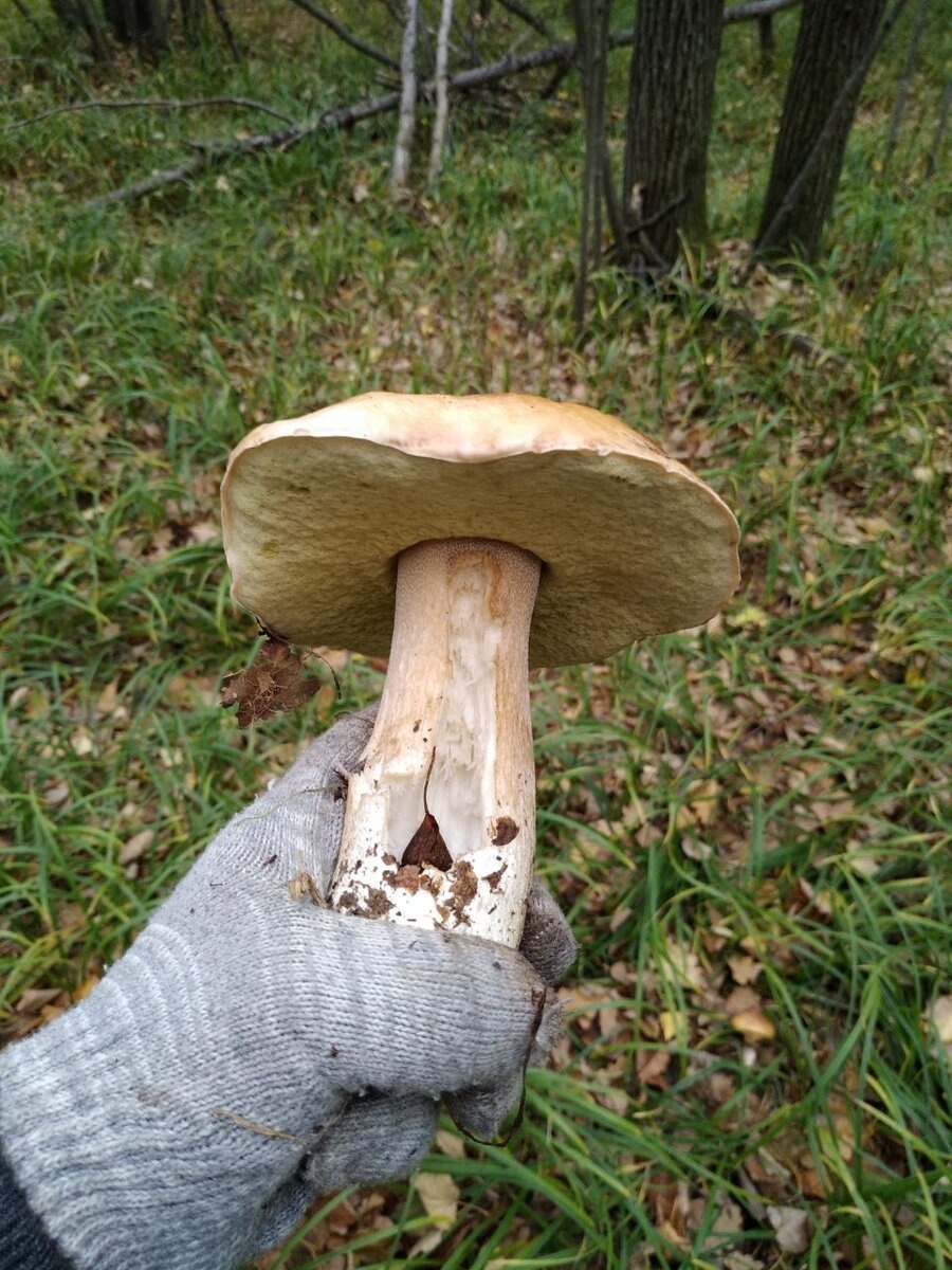 Фото из семейного архива автора канала