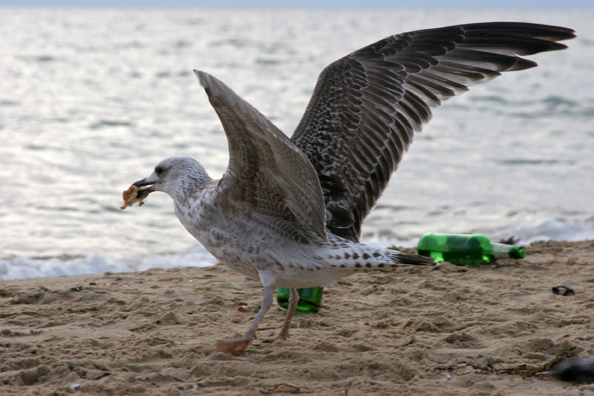 Фото: © Anvar Galeev/ Russian Look/ Global Look Press