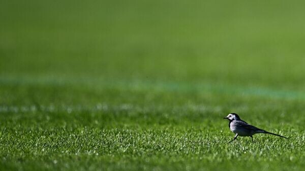    © Sputnik / Павел Бедняков