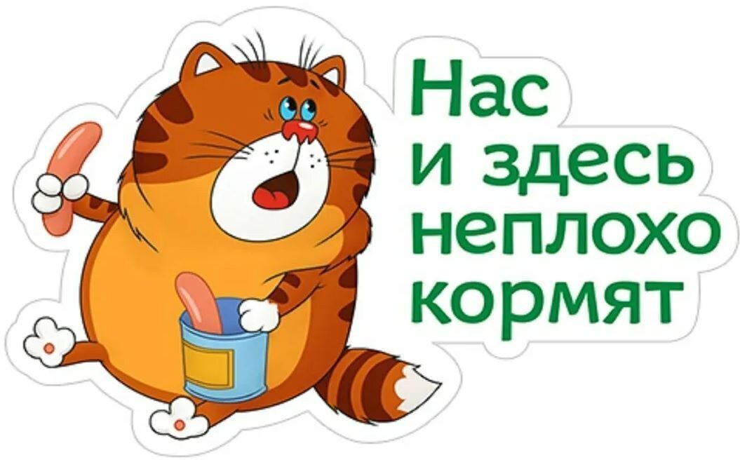 Мультфильм "Возвращение блудного попугая"