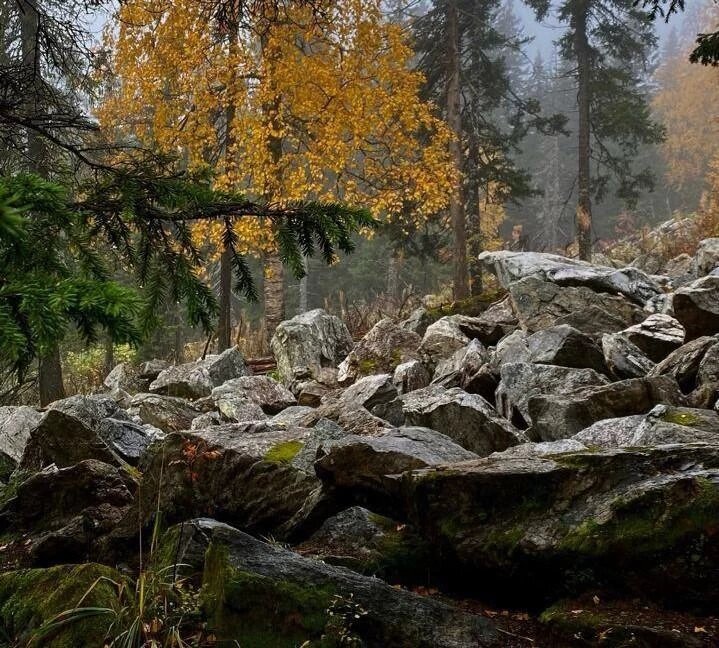 Фото: Анастасия Потапова