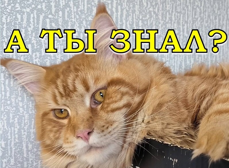 Взято из открытых источников. 