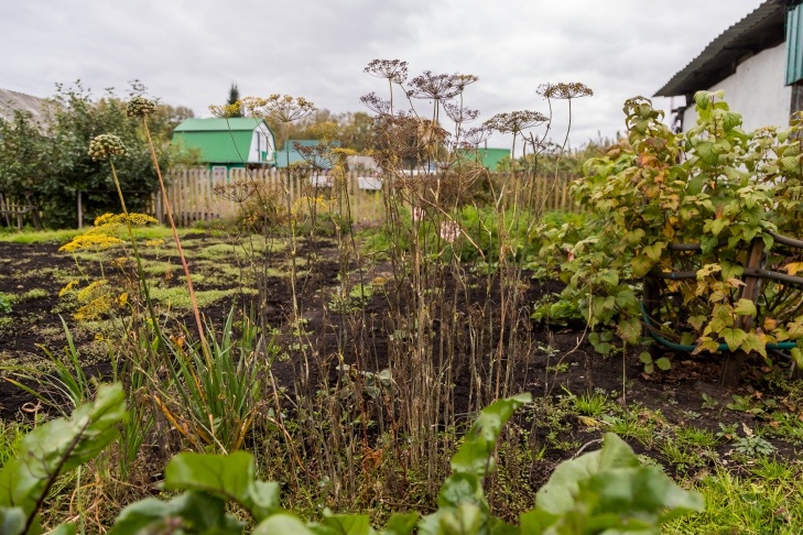    Фото Андрея Заржецкого