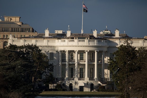 Фото: Nicole Glass Photography / Shutterstock / Fotodom