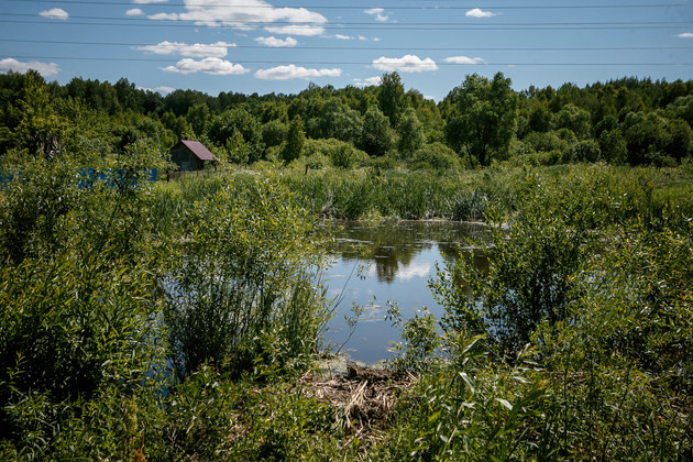 Бывший барский пруд. Фото Владимира Чучадеева.