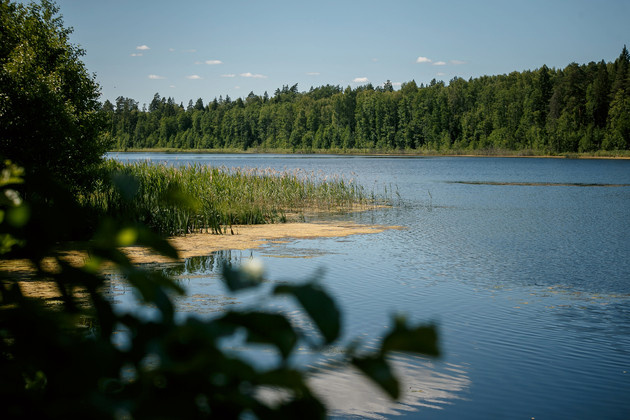 Река Печенка. Фото Владимира Чучадеева.