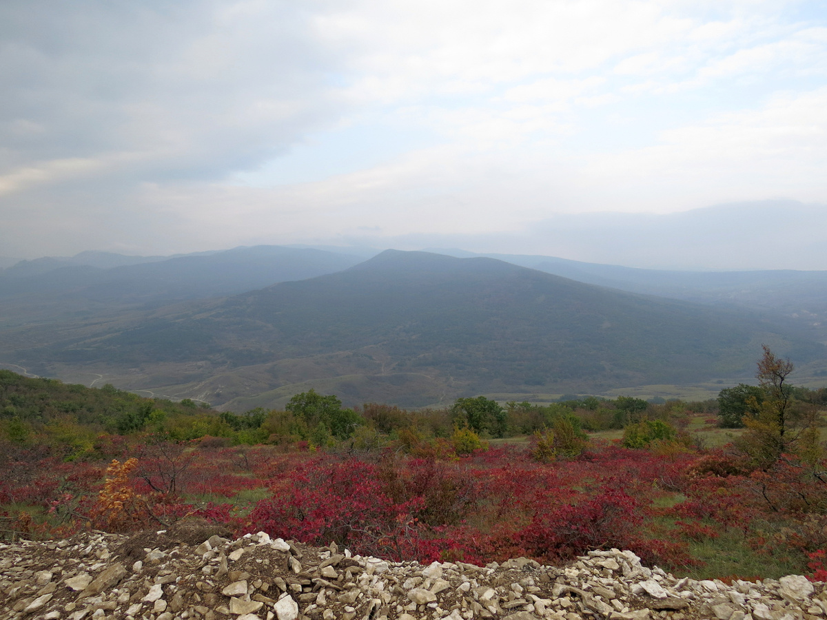 Листайте галерею