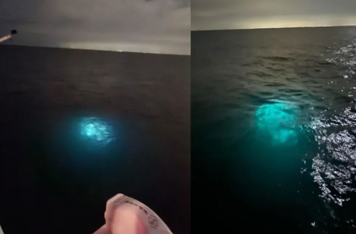 Океанологи не смогли доказать причастность планктона к свечению. (Фото: codigooculto.com).