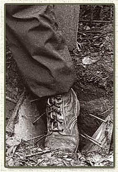 Ловушка пунджи