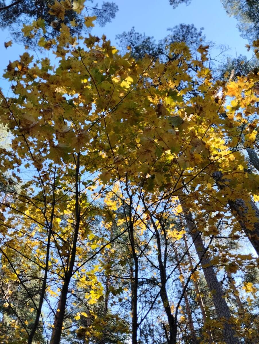 Фото автора.