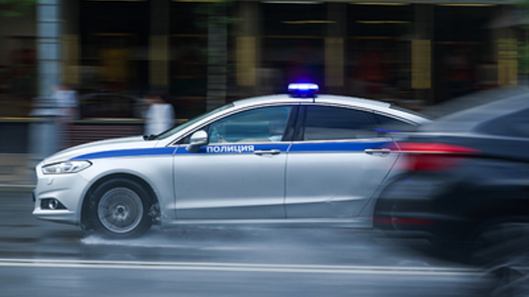    Фото: Petrov Sergey/Globallookpress