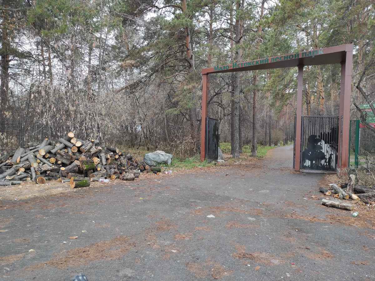 Главный вход в лесопарк