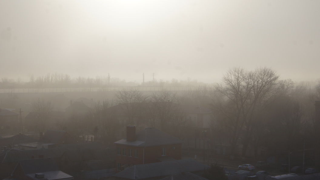    Фото: Царьград Ростов