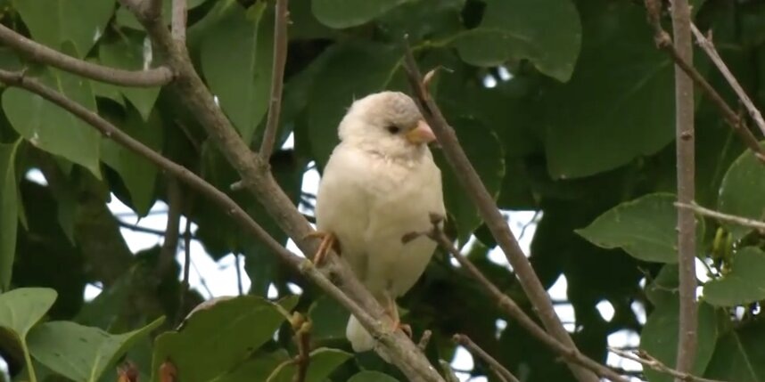    t.me/kazdoytvaripopare