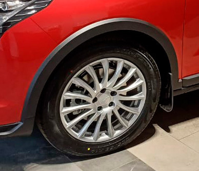 Машина пришла вот на таких дисках