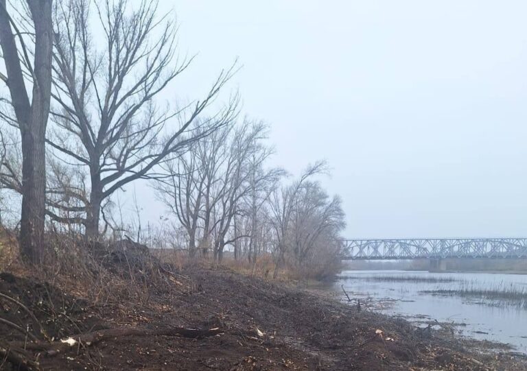    В Орске начали расчистку русла Урала Оренбуржье