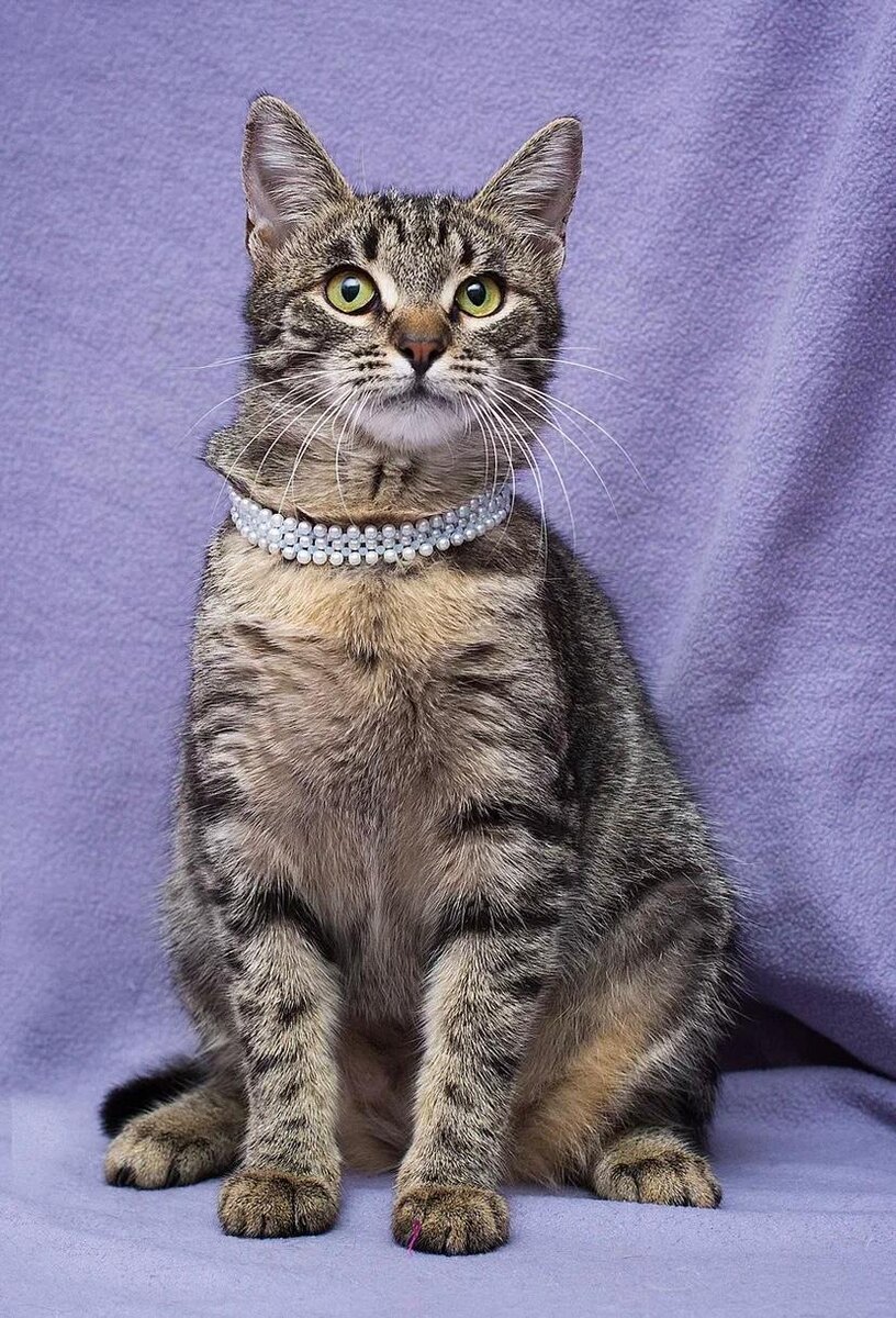 Незабудка нарядилась в бусы, подготовилась ко встрече с семьёй )