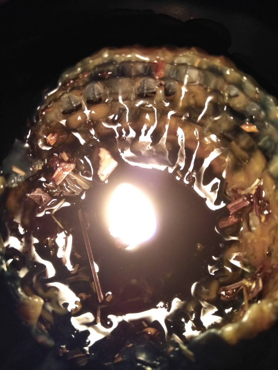 Фото автора статьи 