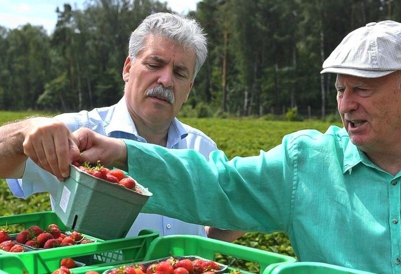 У Жириновского был свой взгляд на деятельность Грудинина