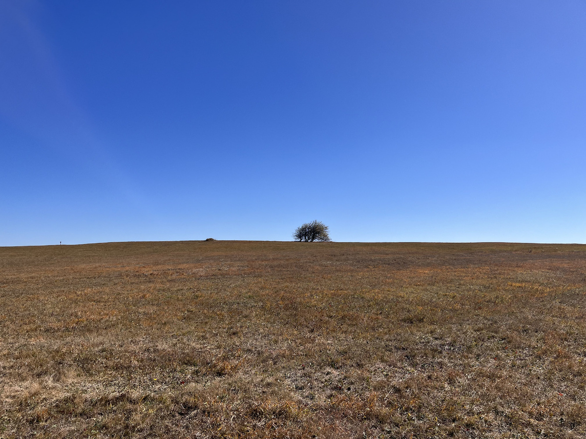 Степная даль Стрижамента / Автор фото Владлена Иванова