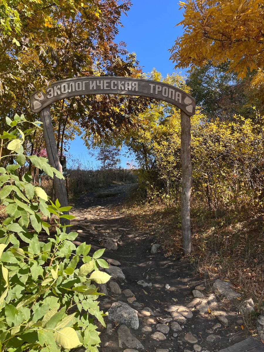 Начало экологической тропы / Автор фото Владлена Иванова