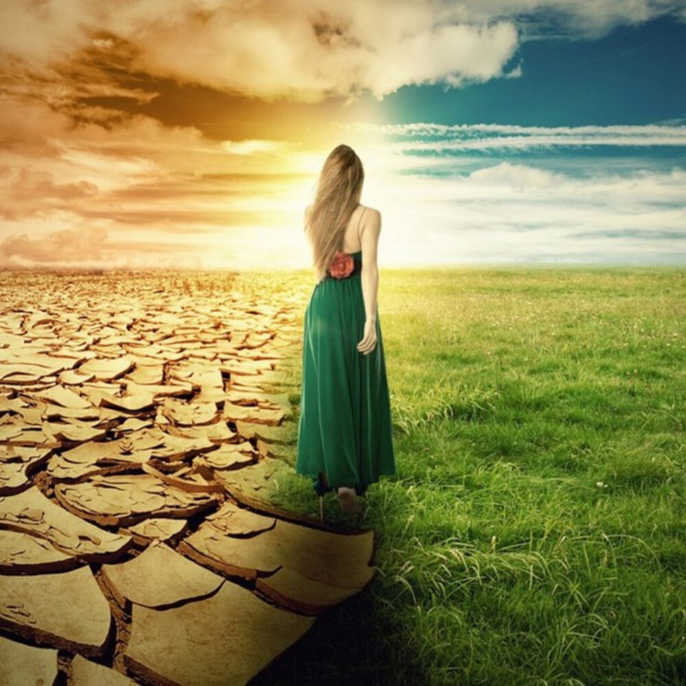 Можем ли мы выбрать через что нам развиваться? 