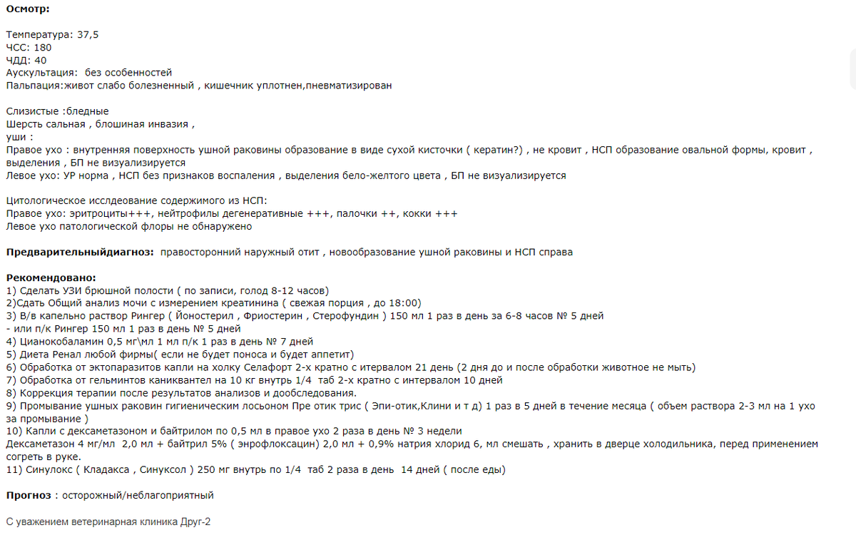 Кроме того, у Мурзика обнаружили две опухоли в ухе.