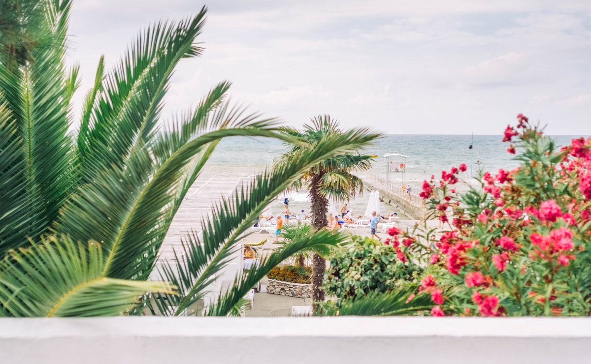 Источник: https://unsplash.com/photos/green-palm-tree-near-body-of-water-during-daytime-F1xW3CzxRZI