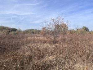 Устранить нарушения владельцу все же придется