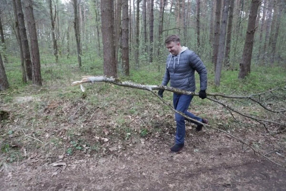    В Ростове более 32 млн рублей направят на уборку городских лесов