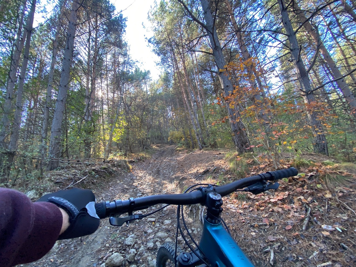 Крутая и совершенно разбитая лесная дорога. Вверх тут ехать не получится. Идем  с Аспектом под ручку