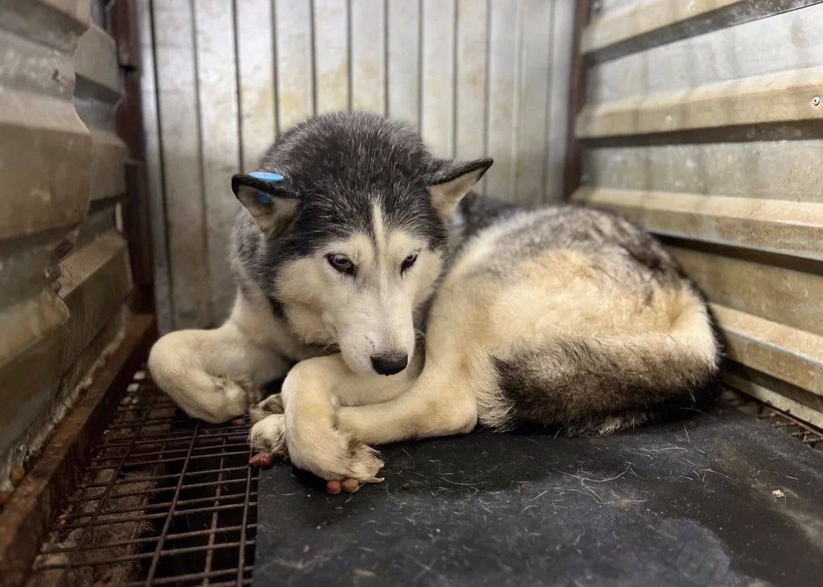 В таком состоянии забирали Зену из астраханского ада