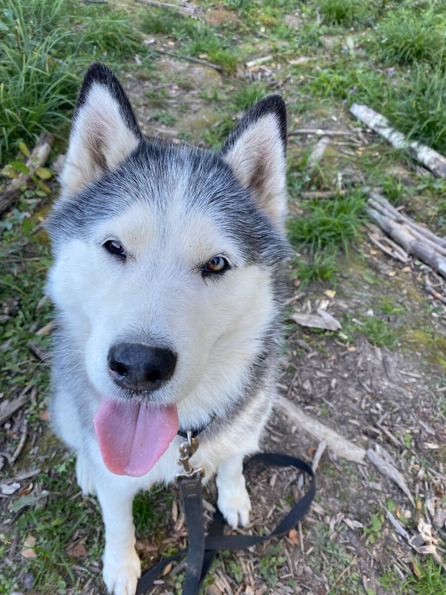 Зена сегодня