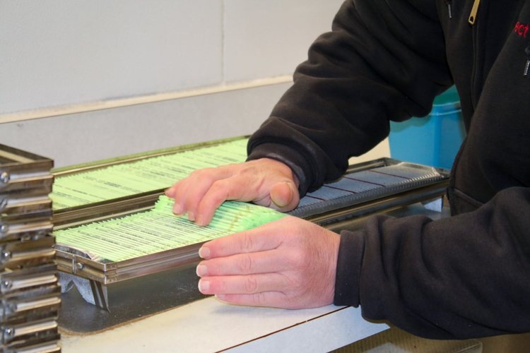    Российская компания выпустила первые 300 тысяч доз генетического материала быков для отечественных фермеров