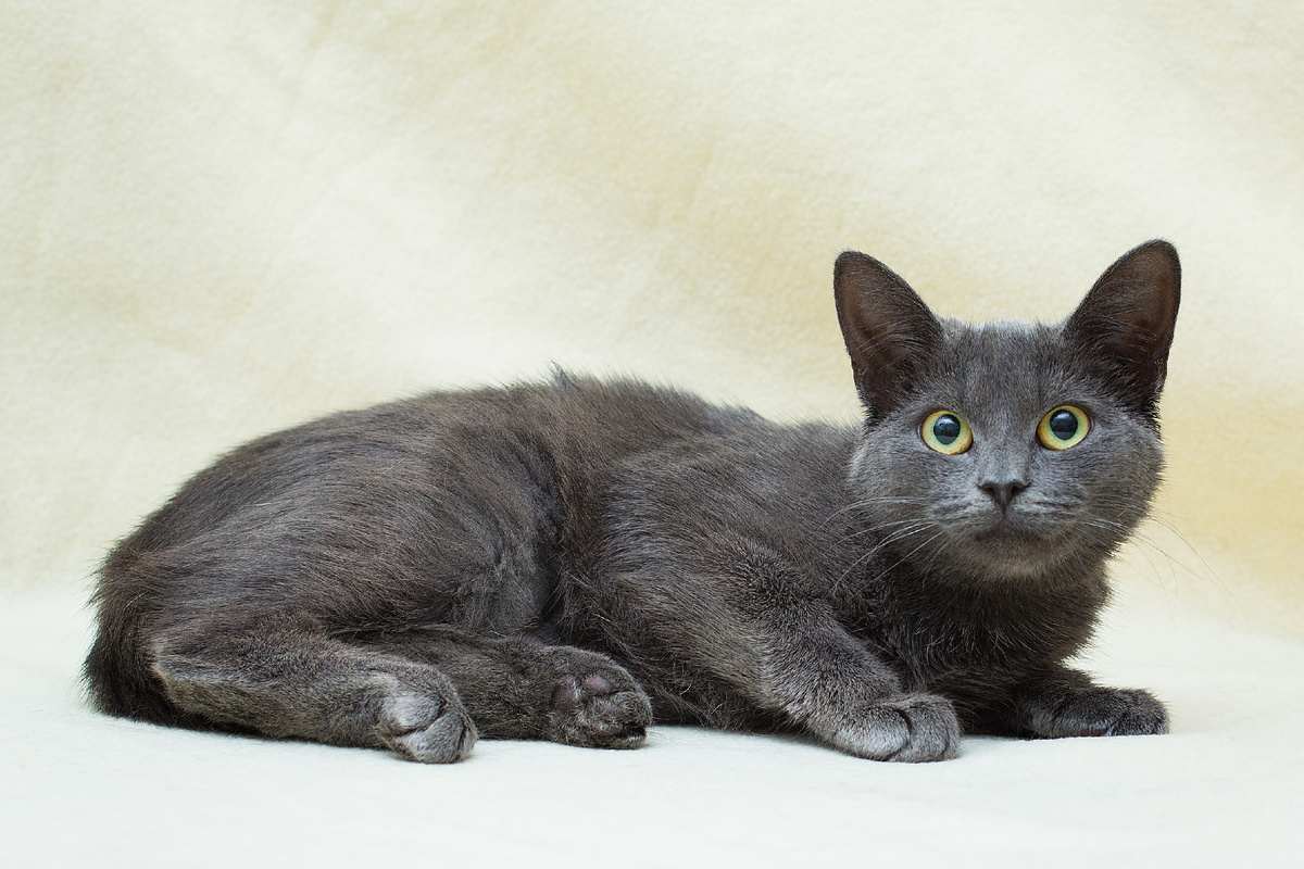 даже пяточки серенькие :) 