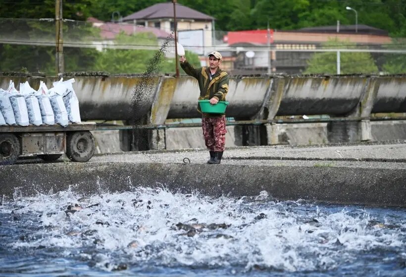     © РИА Новости. Артур Лебедев