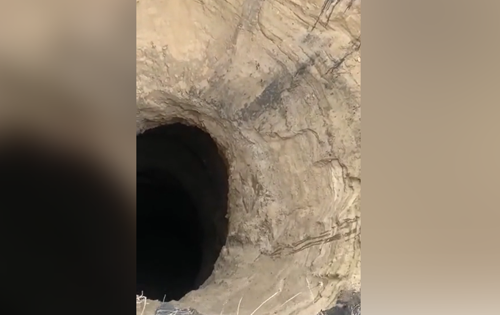 Кадр: УЛПРЕССА