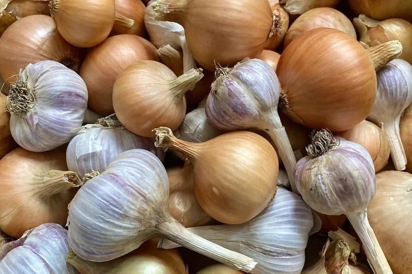 Фото: SterlitamakTime.ru / OOO «Уфатайм»