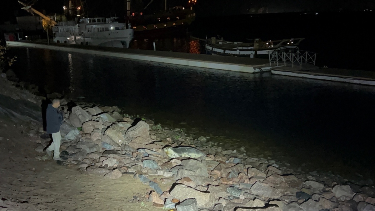     Фото: https://vk.com/sealrescue