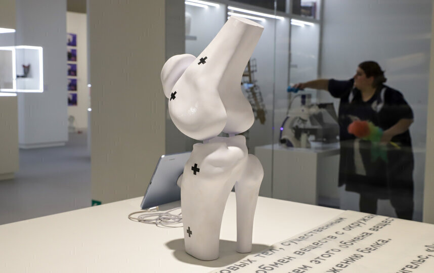    Игорь Акимов