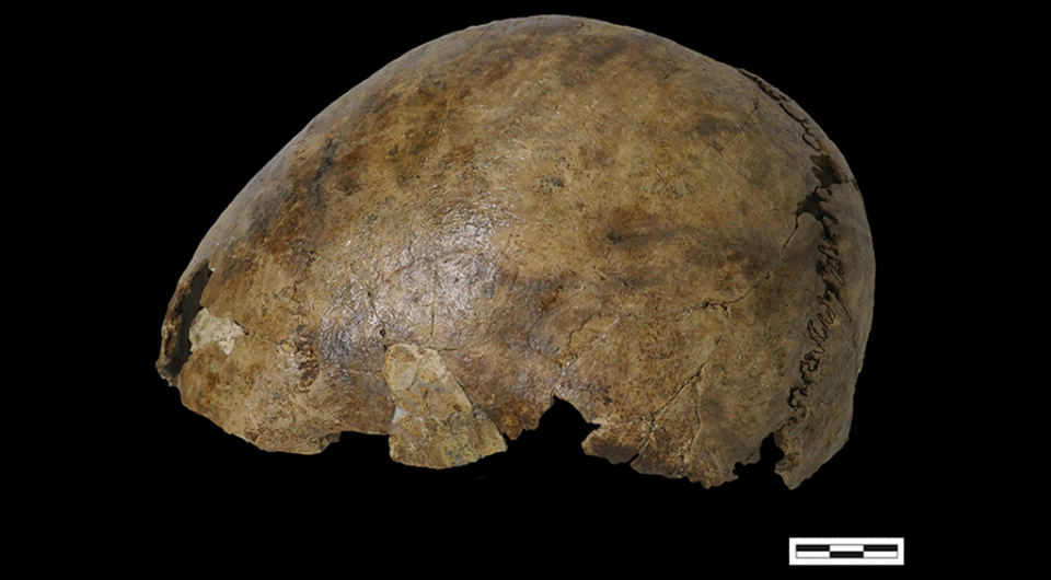   Barbara Veselka et al. / Antiquity, 2024