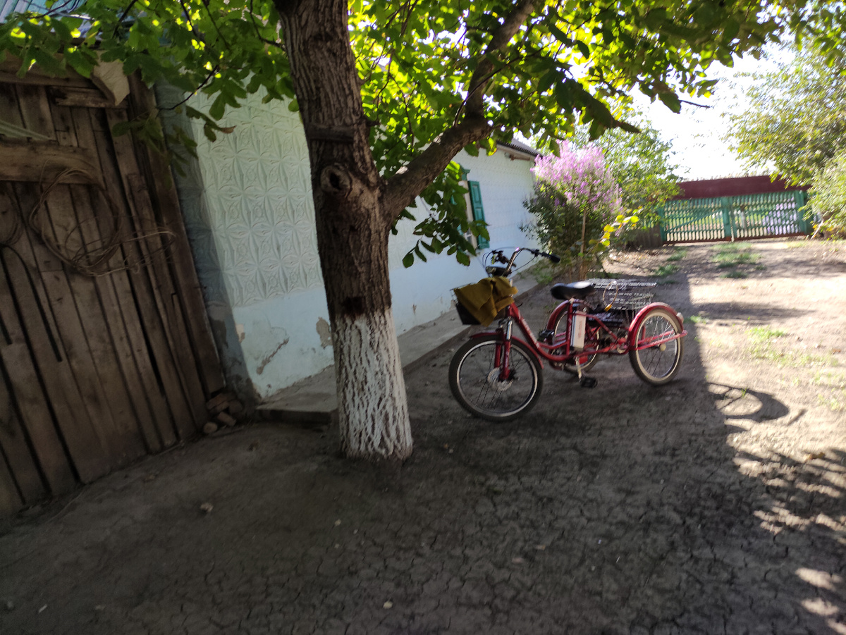 Фото автора©️