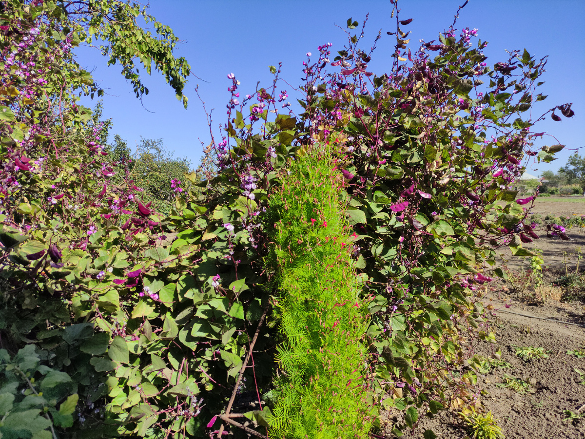 Фото автора©️