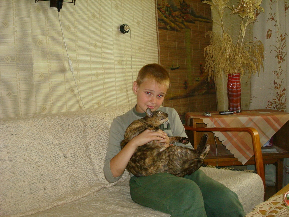 Фото автора. Но фото наш внук, который когда-то был маленьким, с нашей любимой кошкой Сарой. Фото сделано в нашем деревенском доме под Минском