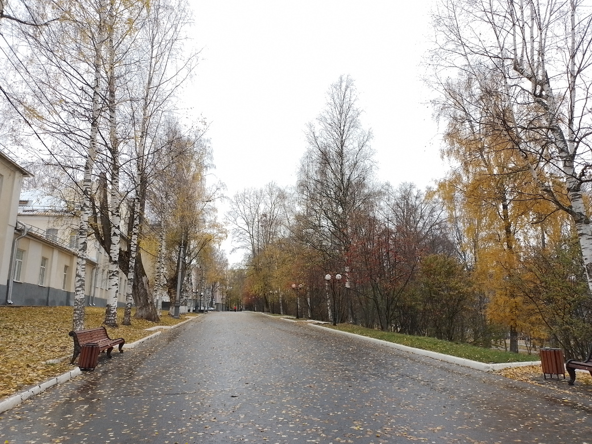 Городской парк