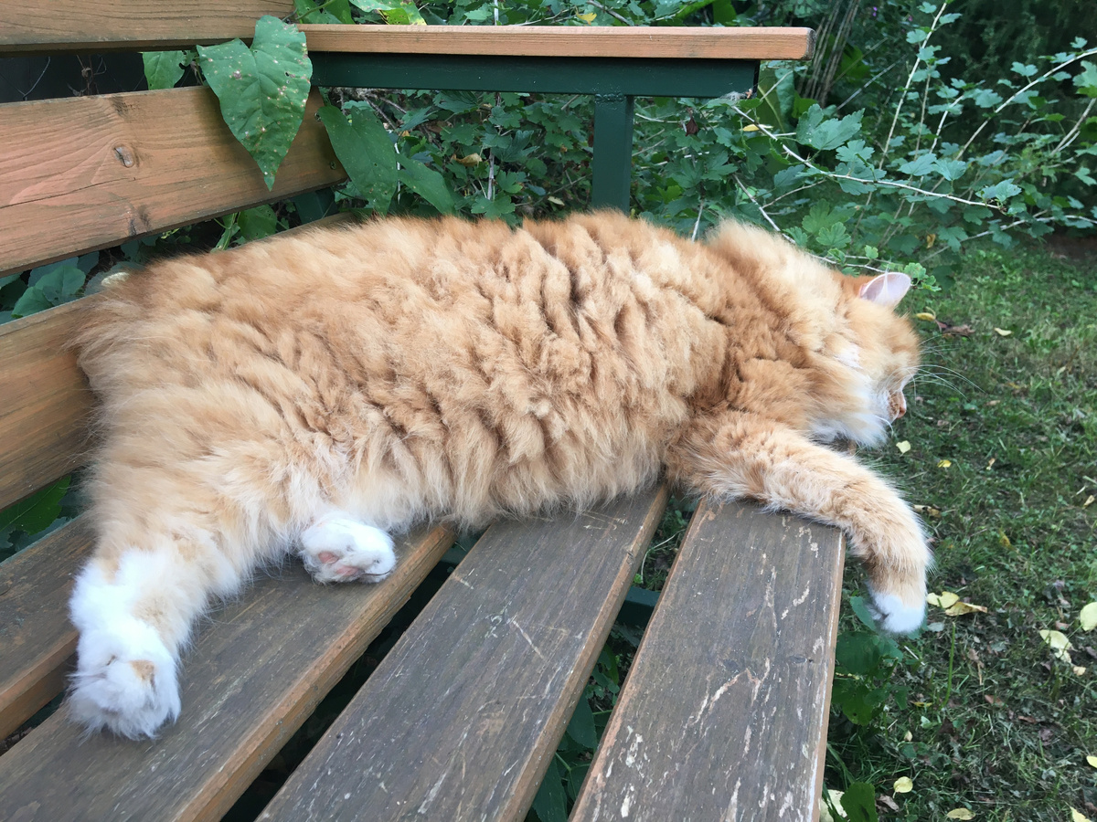 На улице. Фото автора