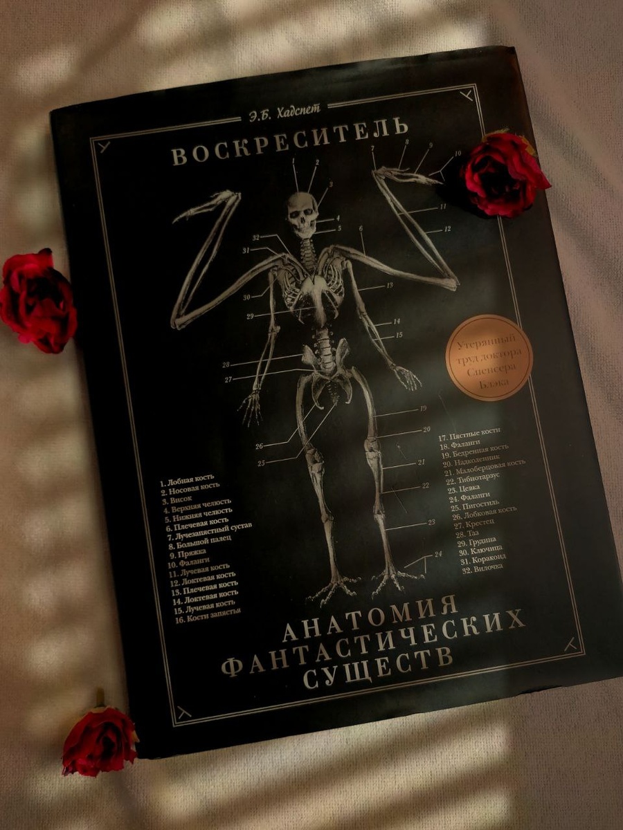 Автор: Эрик Хадспет. Жанр:  фэнтези.
