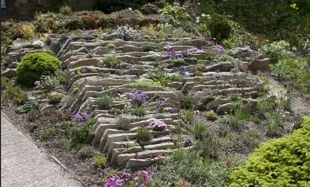 чешская типичная скалка