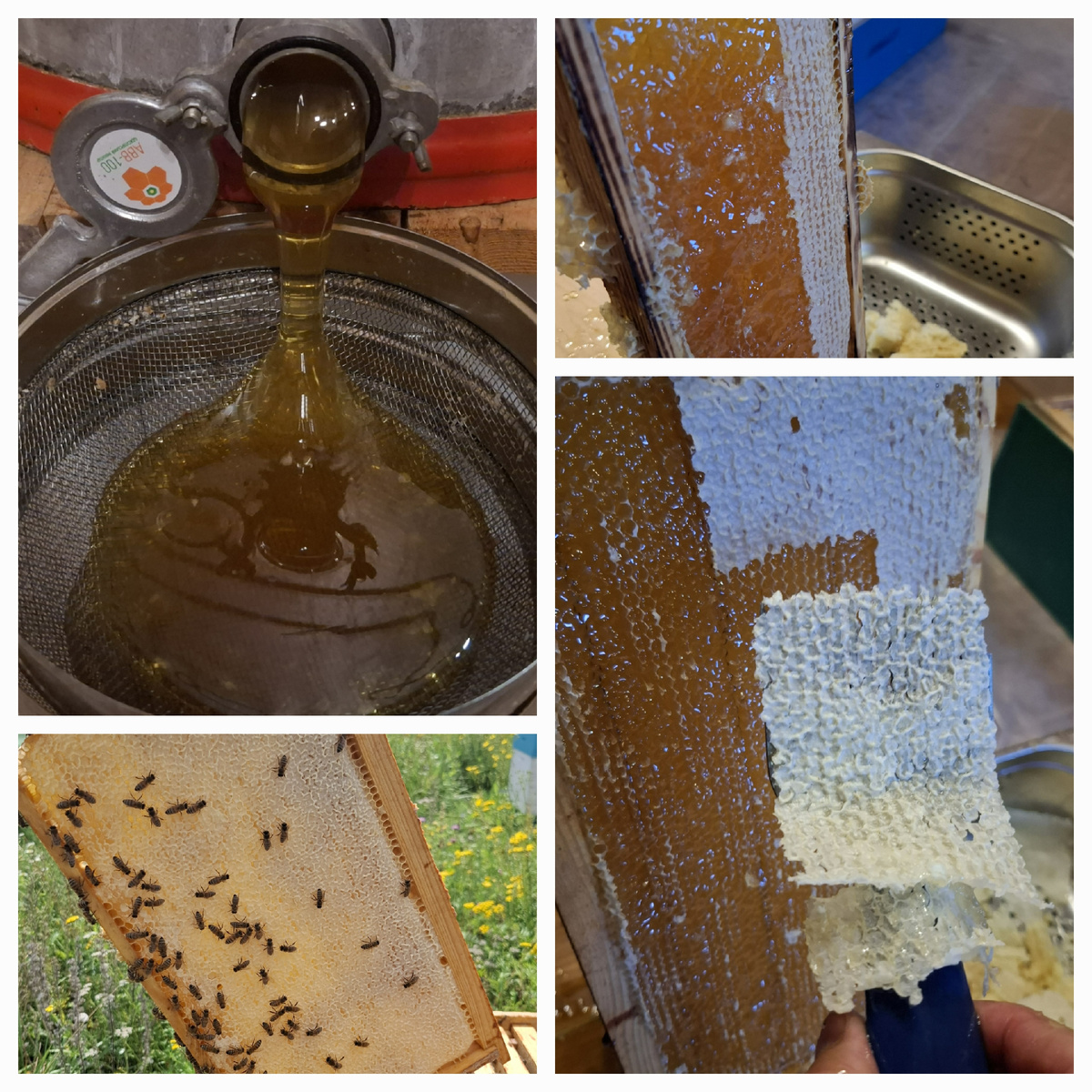 То что у нас получается забрать у пчел только один раз в год, и по моему это тот самый МЁД!)